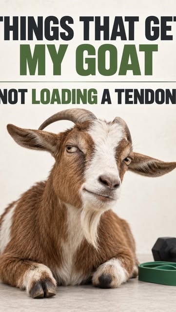 Instagram reel cover: things that get my goat &mdash; not loading a tendon