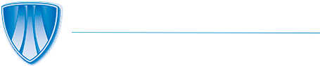 Sports Chiropractic Institute